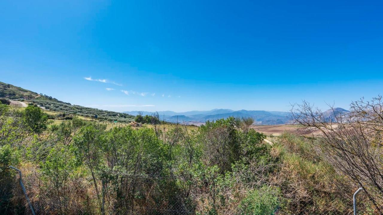 Los Olivos Antequera - Los Nogales By Ruralidays Ngoại thất bức ảnh